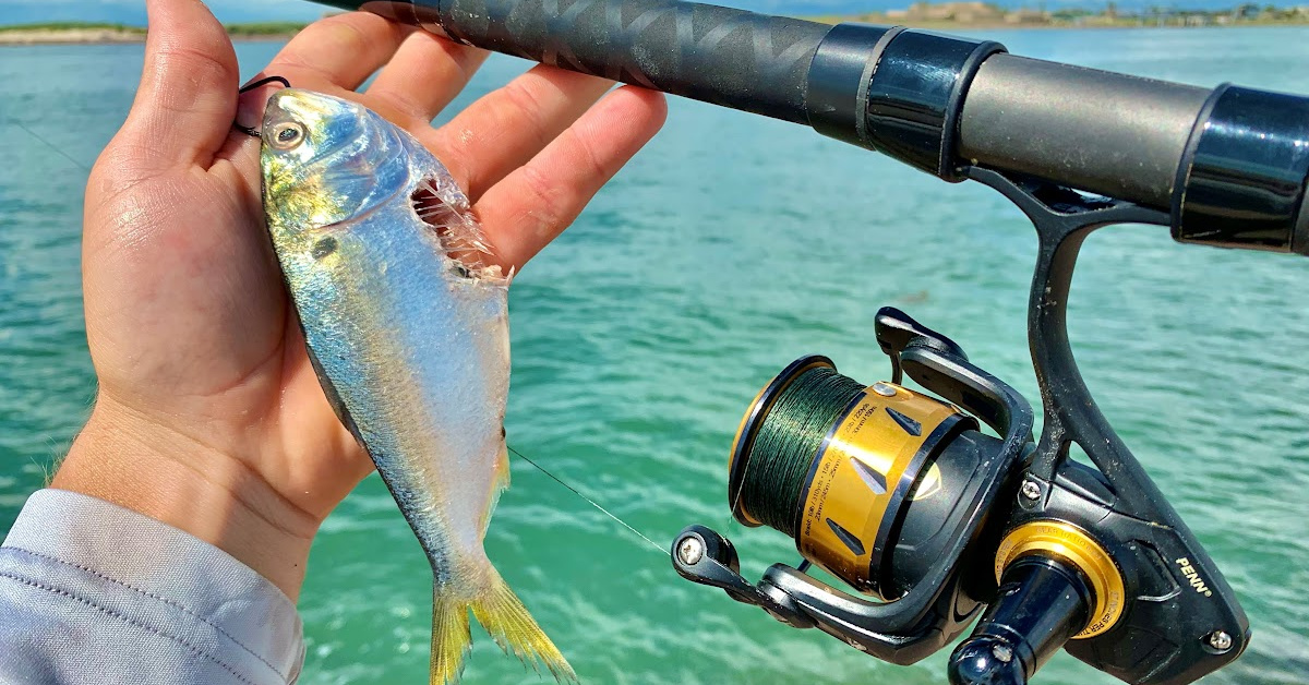 The Best Bait & Rig For Catching Redfish At The Jetty