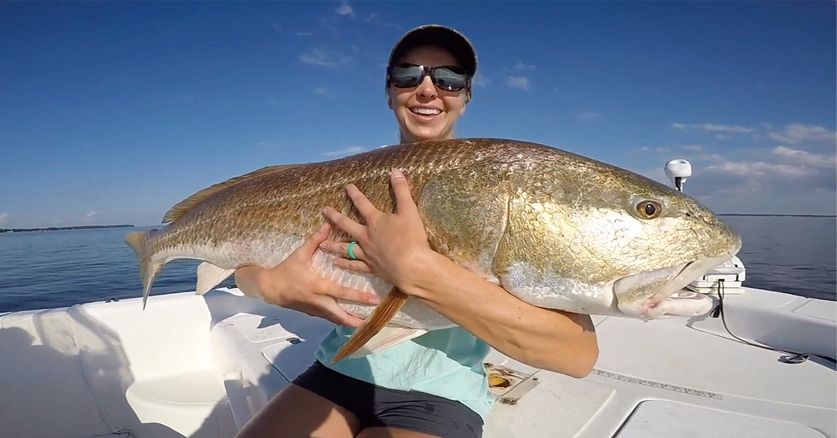 How To Catch Red Drum (Redfish) Off Docks & Grass Flats