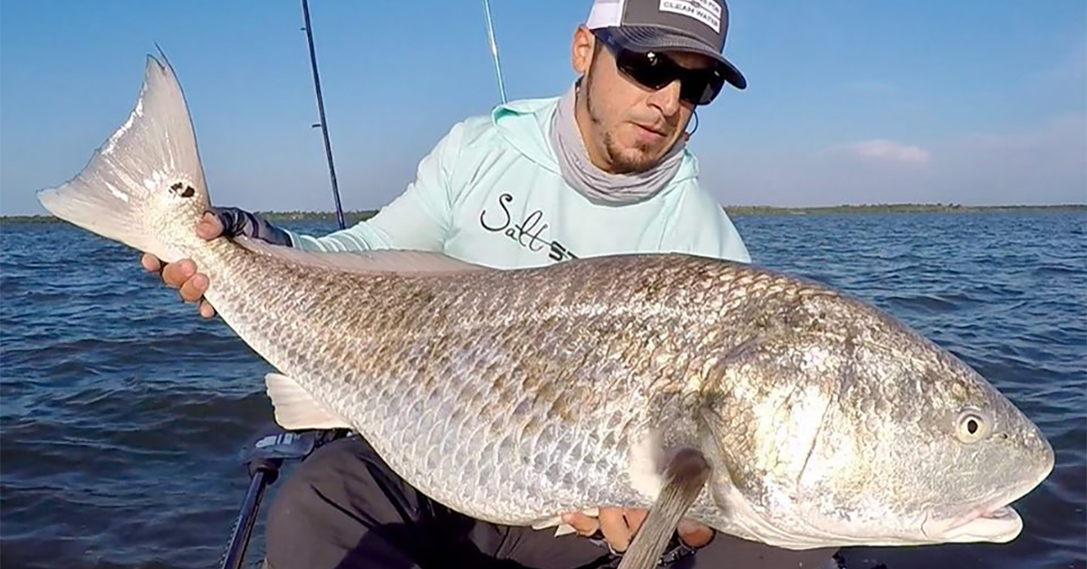 How To Catch Big Redfish, Black Drum, & Snook On Light Tackle