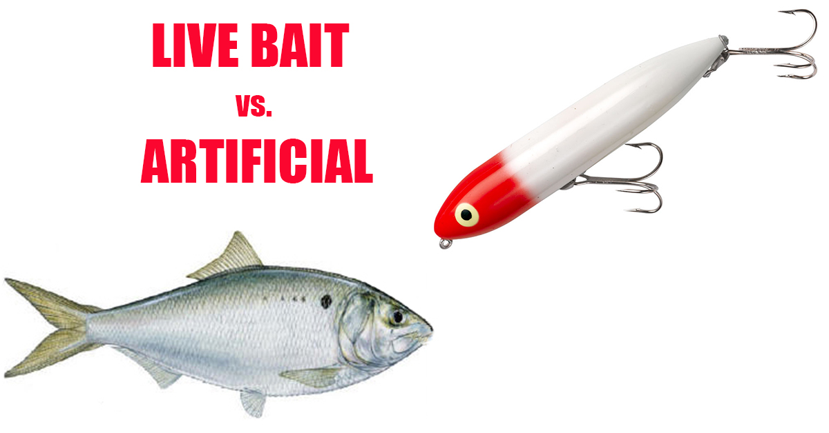 Live Bait vs Artificial: Which Fishing Technique Is Best For Inshore Fishing ?