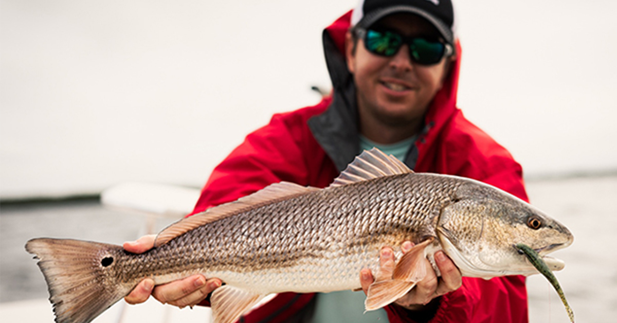 How To Consistently Catch Redfish, Snook, & Seatrout [Inshore