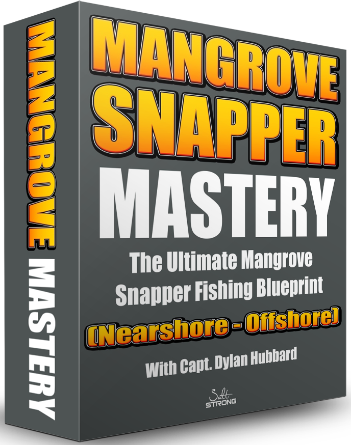 The Top 3 Mangrove Snapper Mistakes [Are You Making These?]