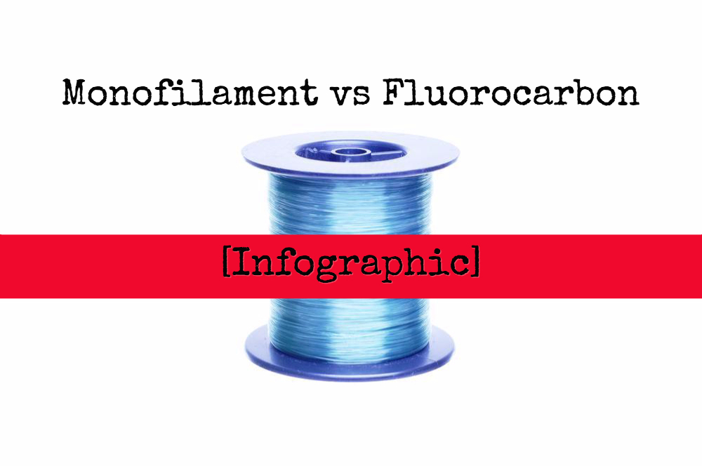 Monofilament vs Fluorocarbon Fishing Line (Infographic)