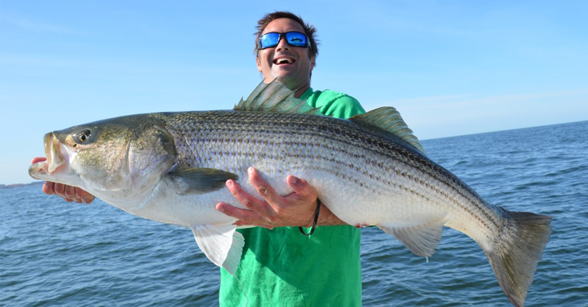 Cold Water Speckled Trout and Striped Bass Saltwater Fishing Tips from the  Pros - RADIO SHOW 