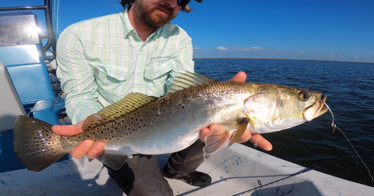 Travel Blog: 4 Factors You Must Know to Fish Florida Bay Bights the Right  Way