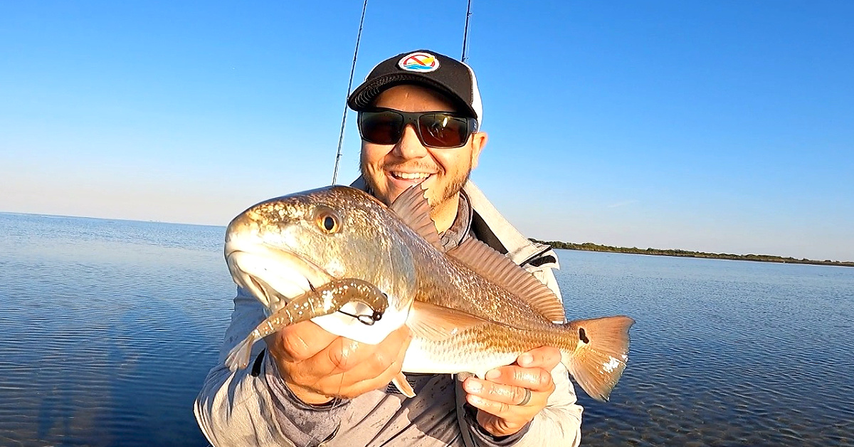 Sight Casting At Tailing Redfish With The Power Prawn U.S.A.