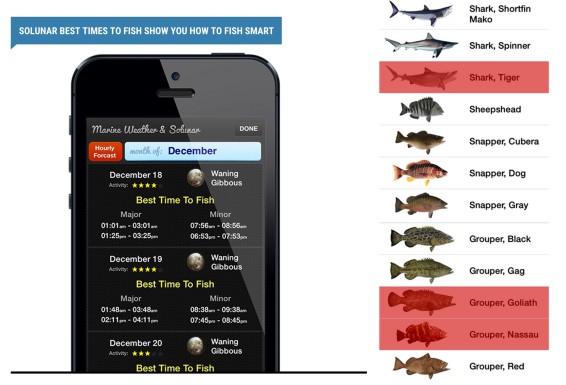 free software available to download fishingtalks.com