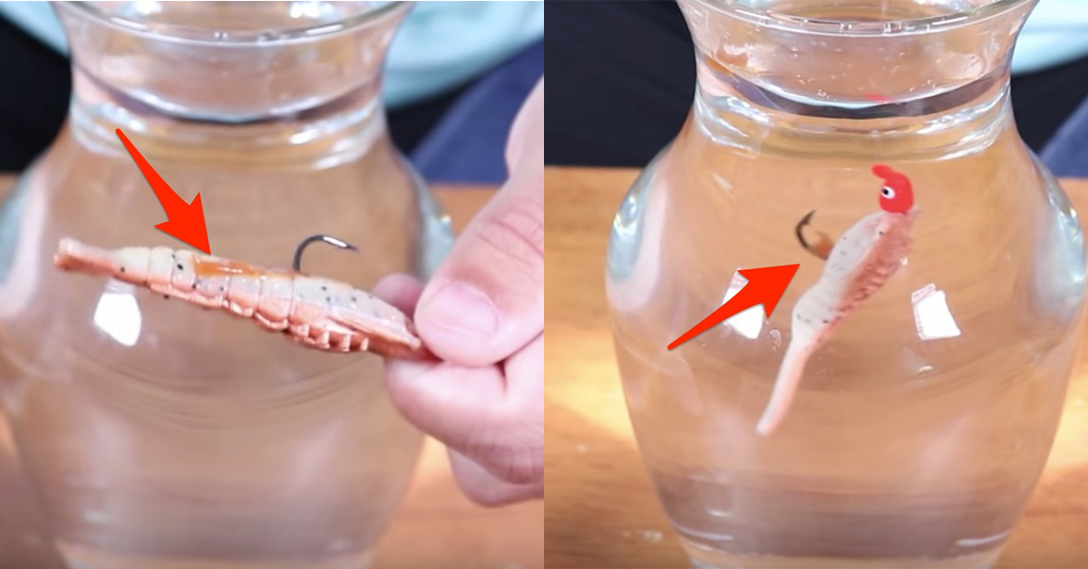 Does Pro-Cure Gel Work on Gulp Baits? [Video Experiment]
