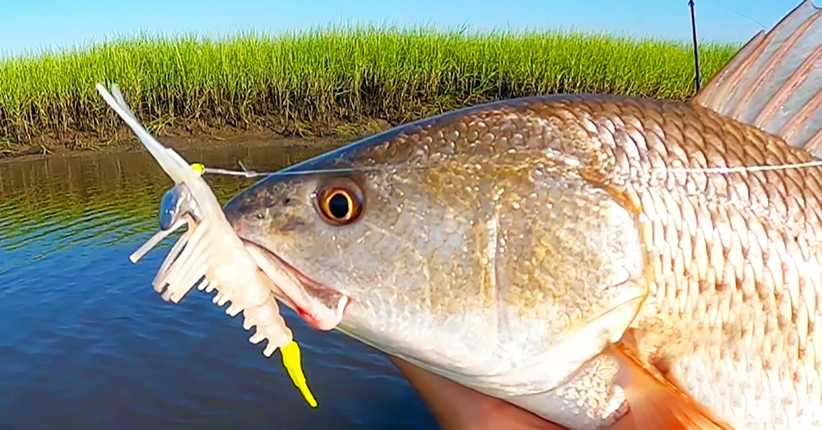 How to Catch Redfish - BassGrab