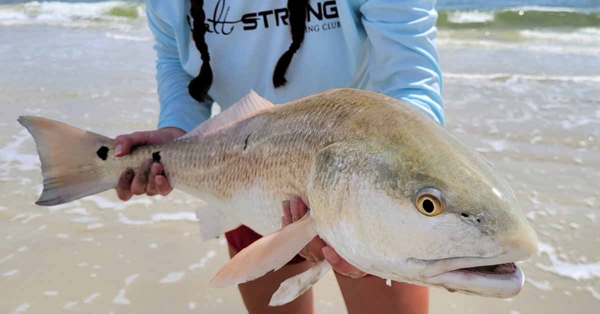 The Deadliest Rig You Need To Start Throwing For Big Redfish (Video)