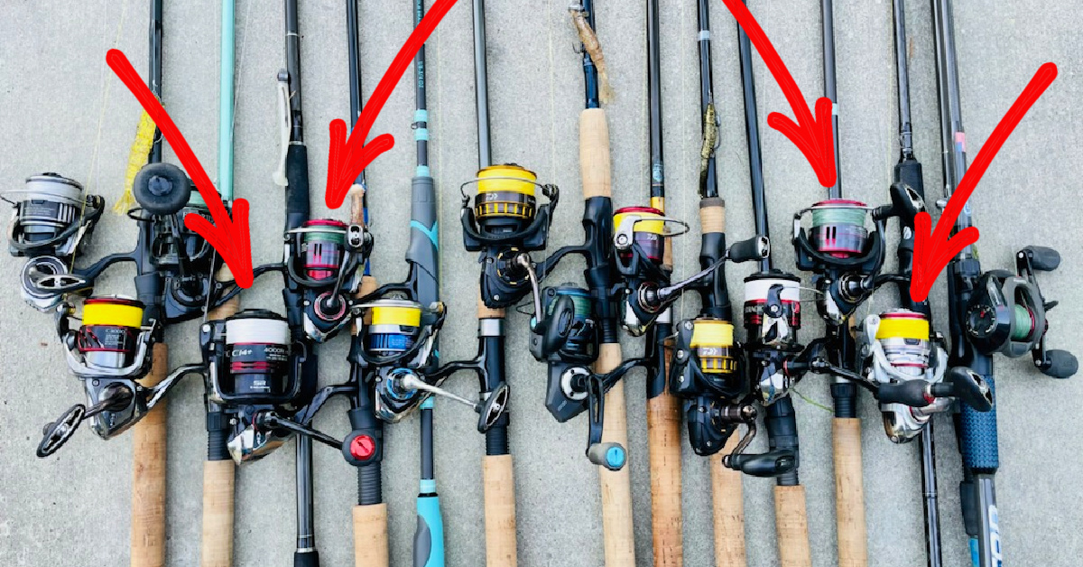 How To Choose The Right Size Circle Hook (For Live vs Dead vs Cut
