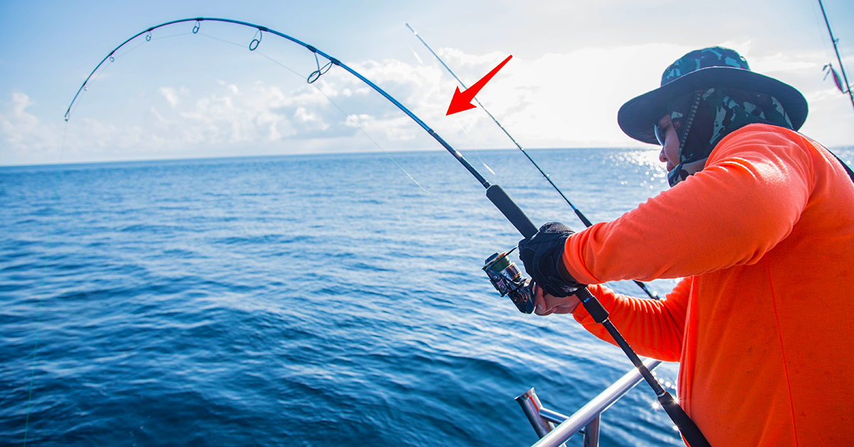 Everything You Must Know About Saltwater Fishing Rods