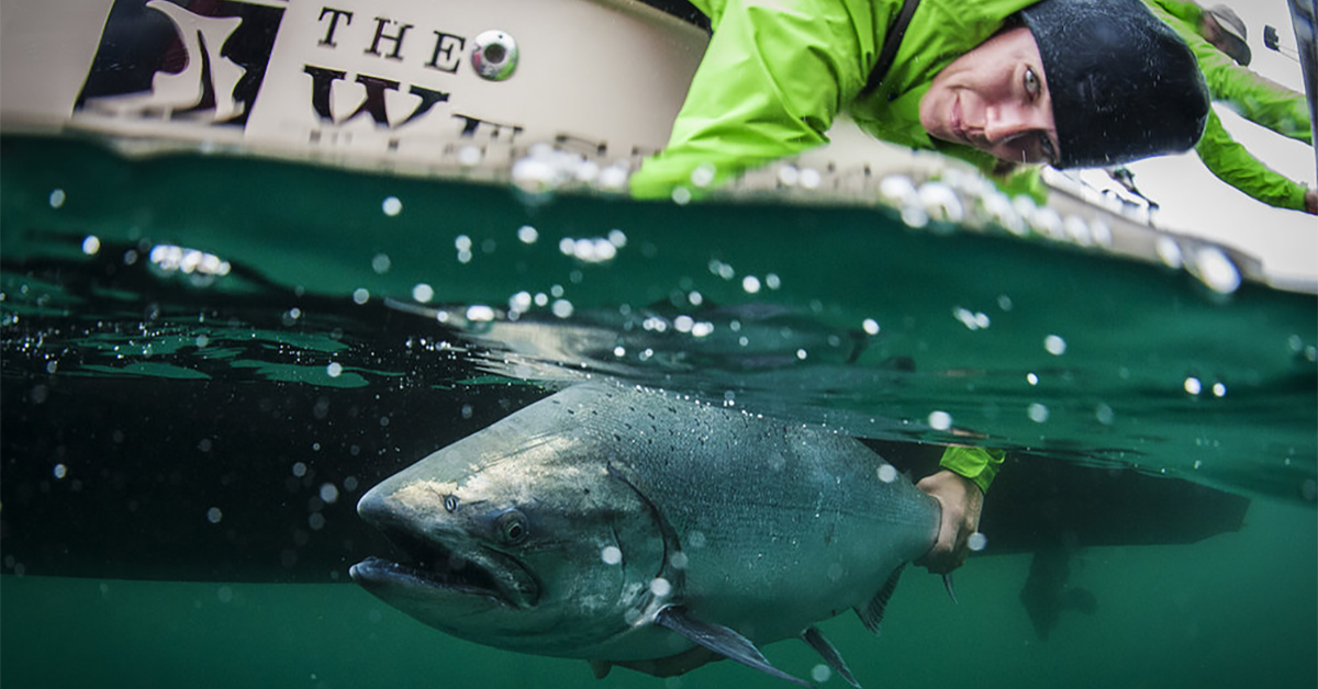 The Power Of A Fishing Picture: Life As A Fishing Photographer