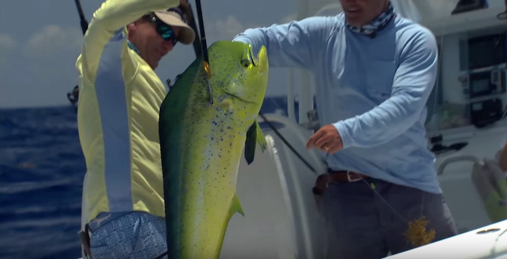 How To Gaff A Fish Like A Fishing Pro (And How NOT To Gaff A Fish) - VIDEO