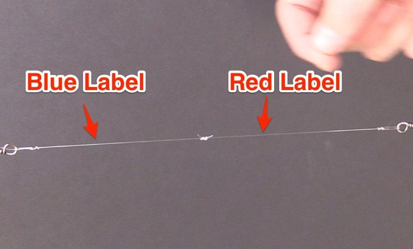 Knot Strength Experiment] Seaguar Blue Label vs. Red Label Leader Line