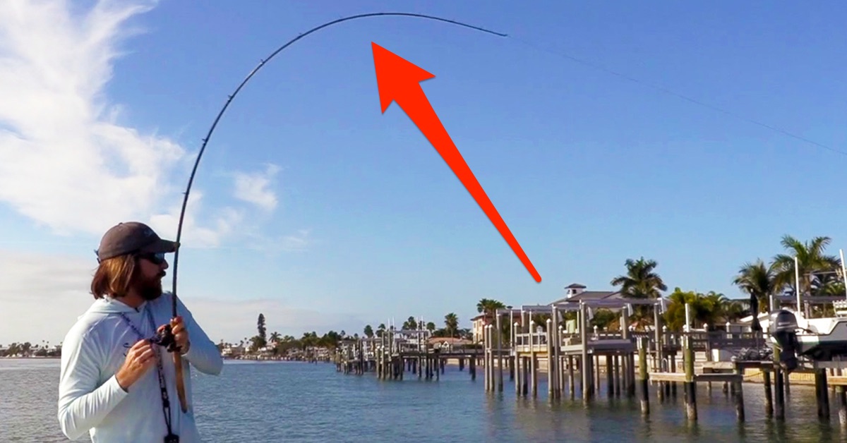 How To Set The Hook With Shrimp Jigs (8 Fish Caught In 8 Casts)