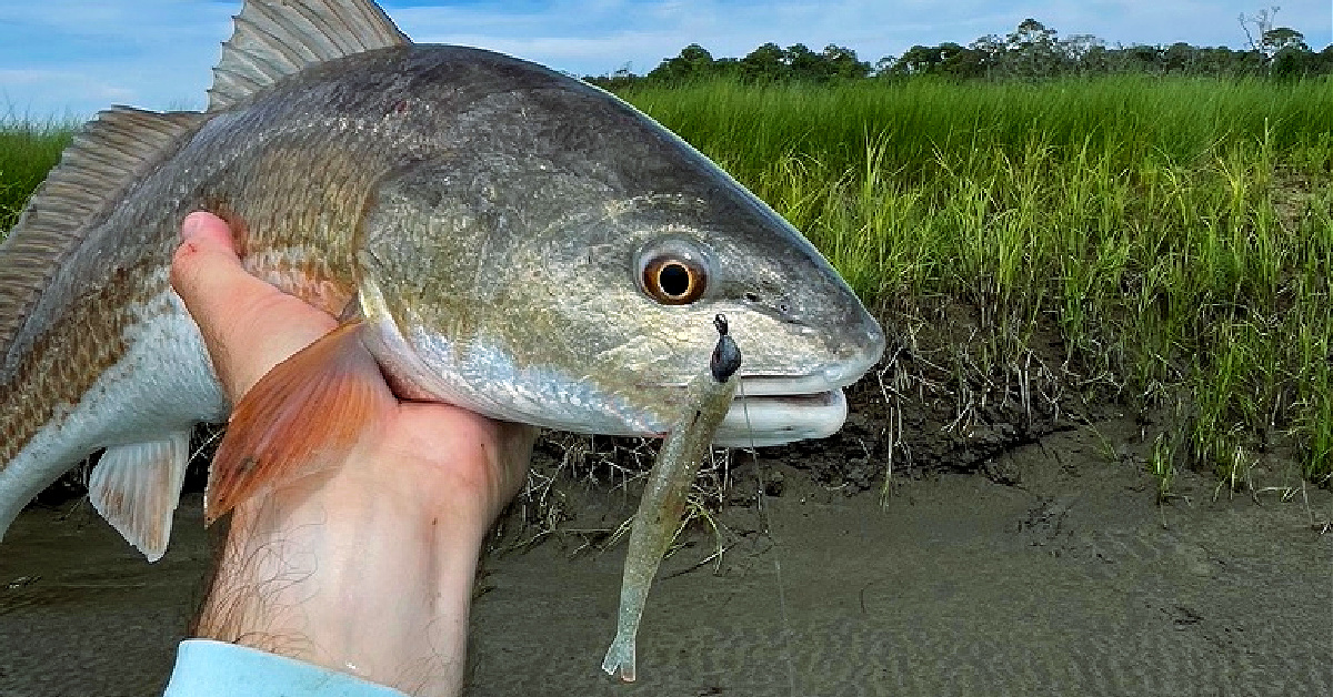 Sight-fishing redfish - go to lure  Dedicated To The Smallest Of Skiffs