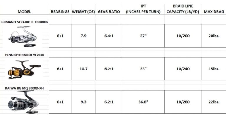 top-200-spinning-reels-comparison-shimano-vs-penn-vs-daiwa