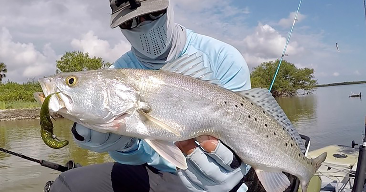 Best Redfish, Snook, Pompano, & Trout Lures For SUMMER