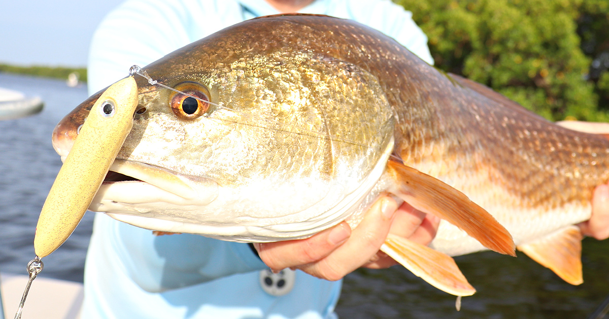 Must-Have Tackle For Summer Redfish