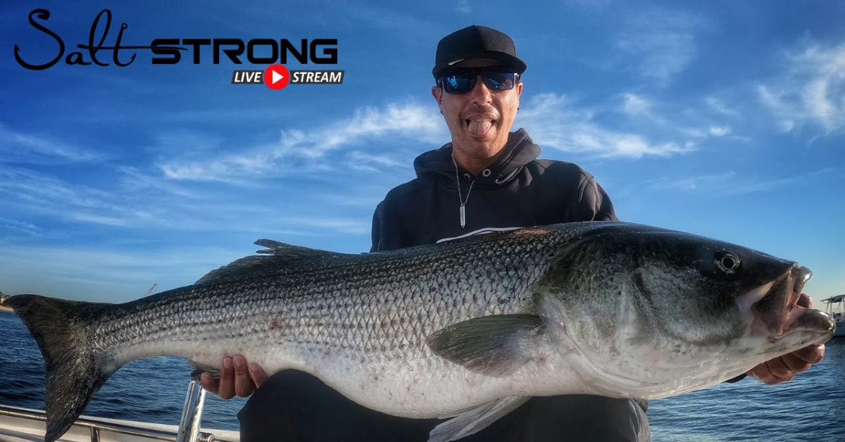 Targeting Fall Striped Bass with Capt. Scotty Sevins