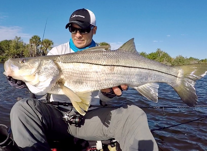 7 Tips To Catch Snook In Mangroves (With Artificial Lures)