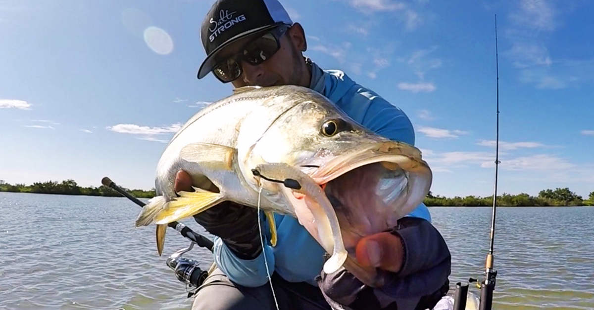 Three Tips for Fall Snook Fishing – Hogy Lure Company Online Shop