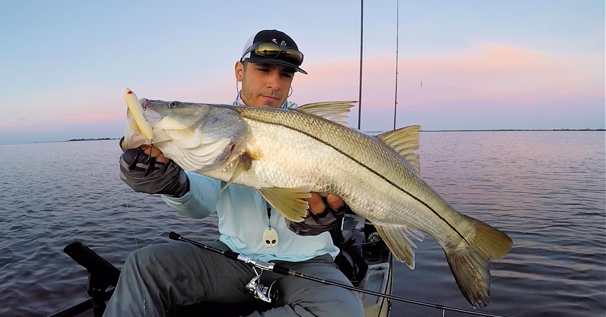 Top 3 Tips For Targeting Snook On Topwater Lures