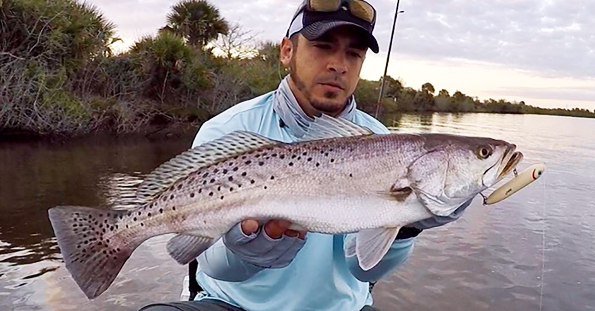 4 Tips For Catching Fish Before & After Storms (Best Lures, Spots & More)
