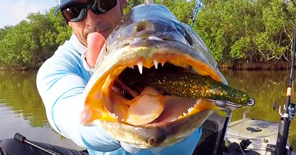 how to catch a colorado trout on a barbless spinner in fishing planet
