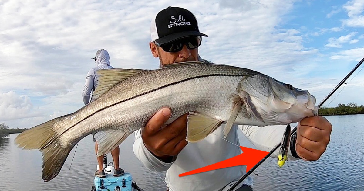 How To Land More Fish On Topwater Lures (Avoid This Common Mistake)