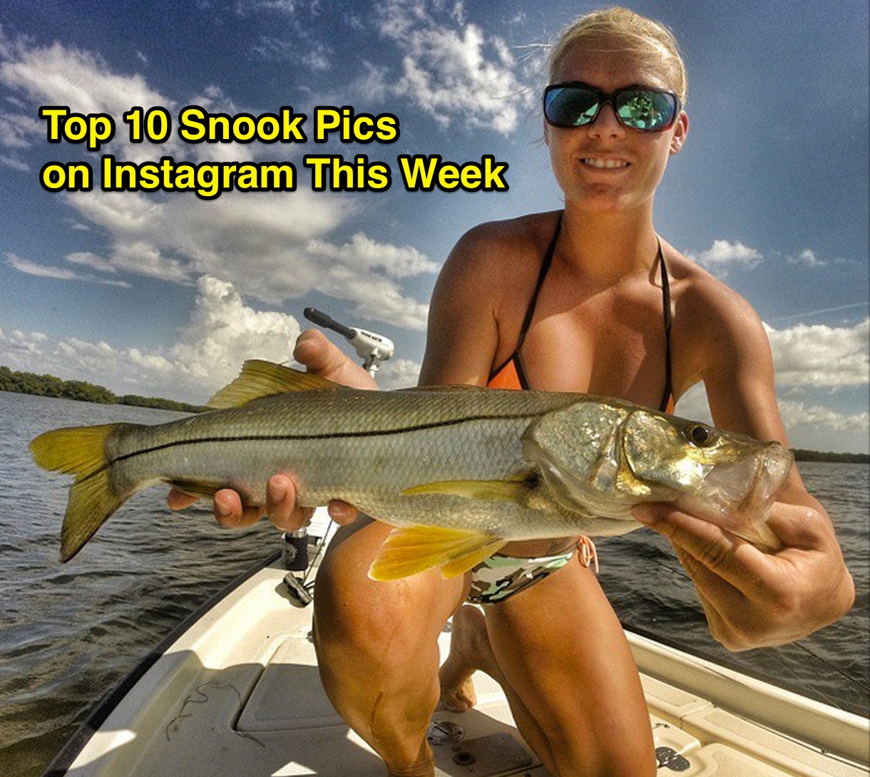 Top 10 Snook Pics On Instagram This Week Salt Strong Fishing Club