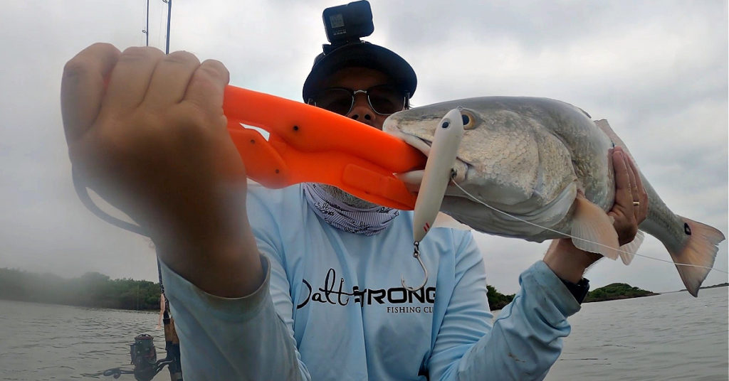 https://www.saltstrong.com/wp-content/uploads/topwater-for-a-year-lessons-1024x536.jpg
