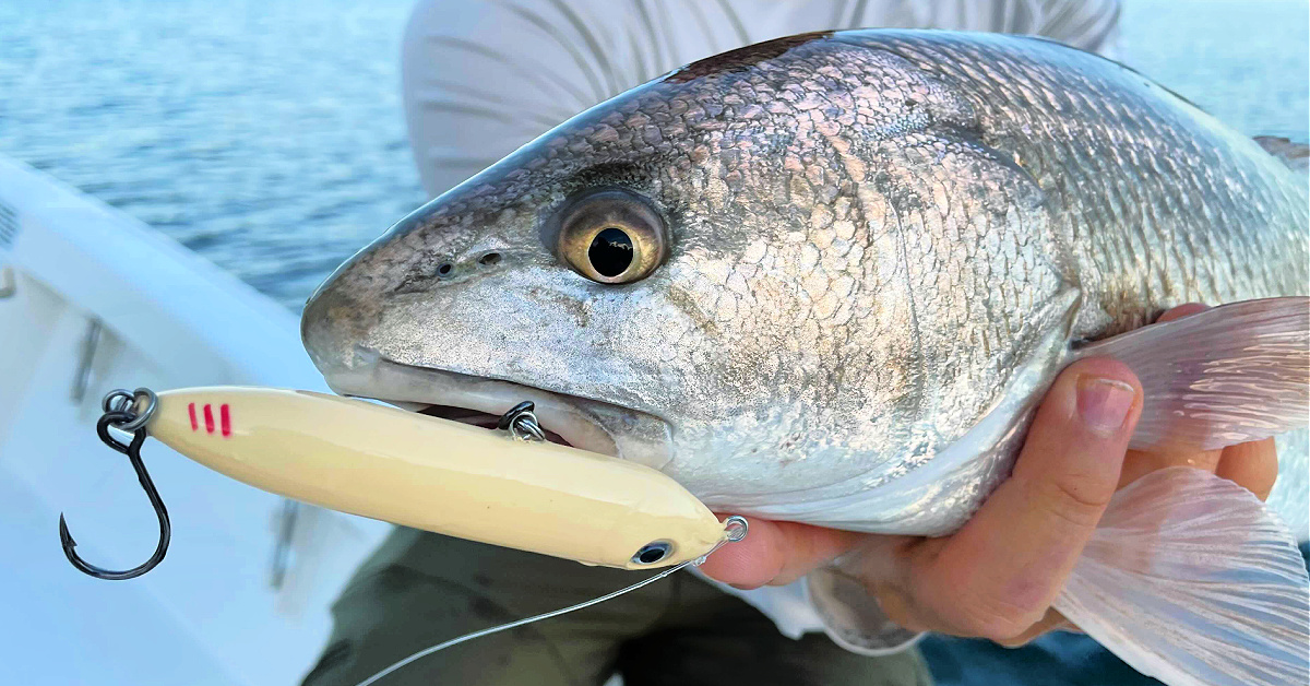 Stop Making This Big Topwater Mistake (And Catch More Fish)