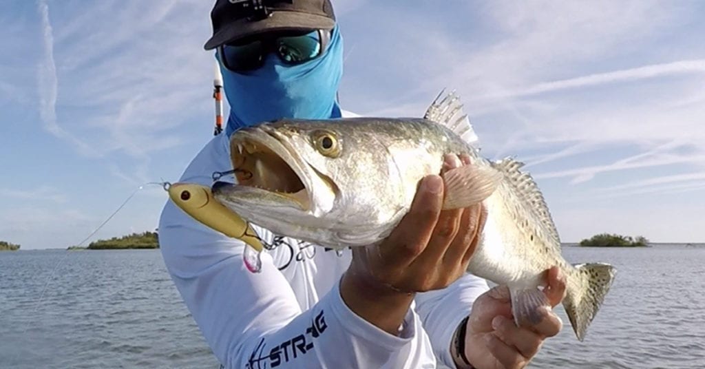 How To Use Topwater Lures To Catch Redfish & Trout