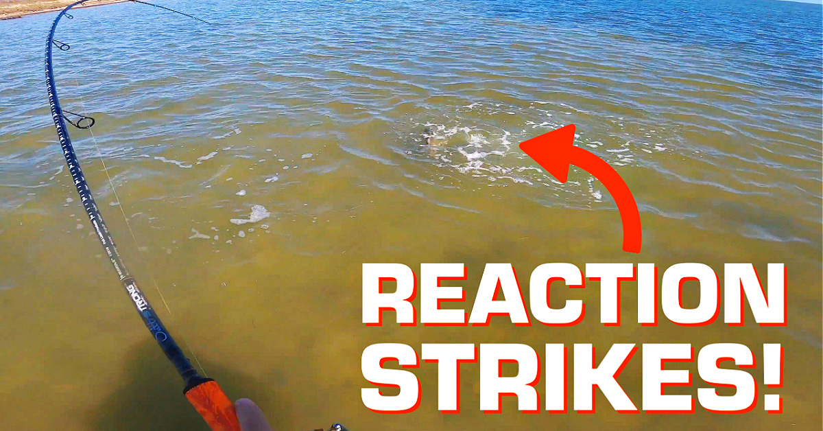 How To Trigger Reaction Strikes From Inshore Fish