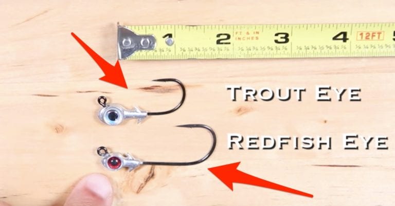 Z-Man Redfish Eye Jighead VS. Trout Eye Jighead