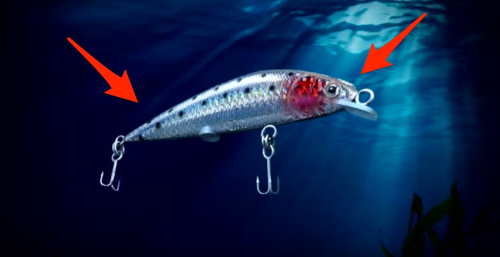 Rechargeable Twitching Lure: Tony's Testimonial 