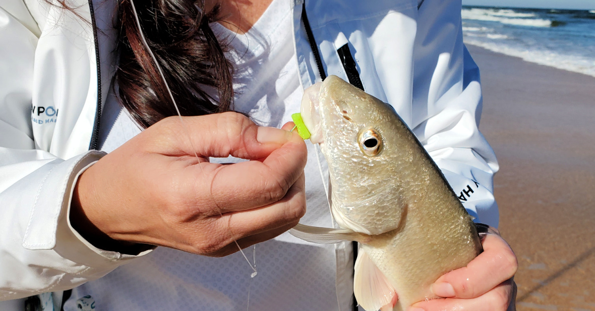 5 Things You Must Know About Fishbites (Plus How To Use Them)