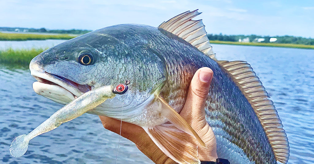 EASIEST Way To Catch Redfish In The Winter (Best Tide, Spots, & Lures)