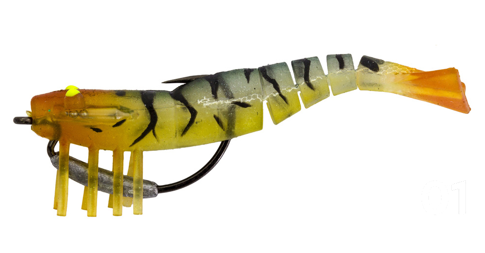 5 Saltwater Fishing Lures That Work Anywhere In The World